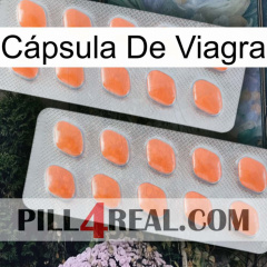 Cápsula De Viagra 27